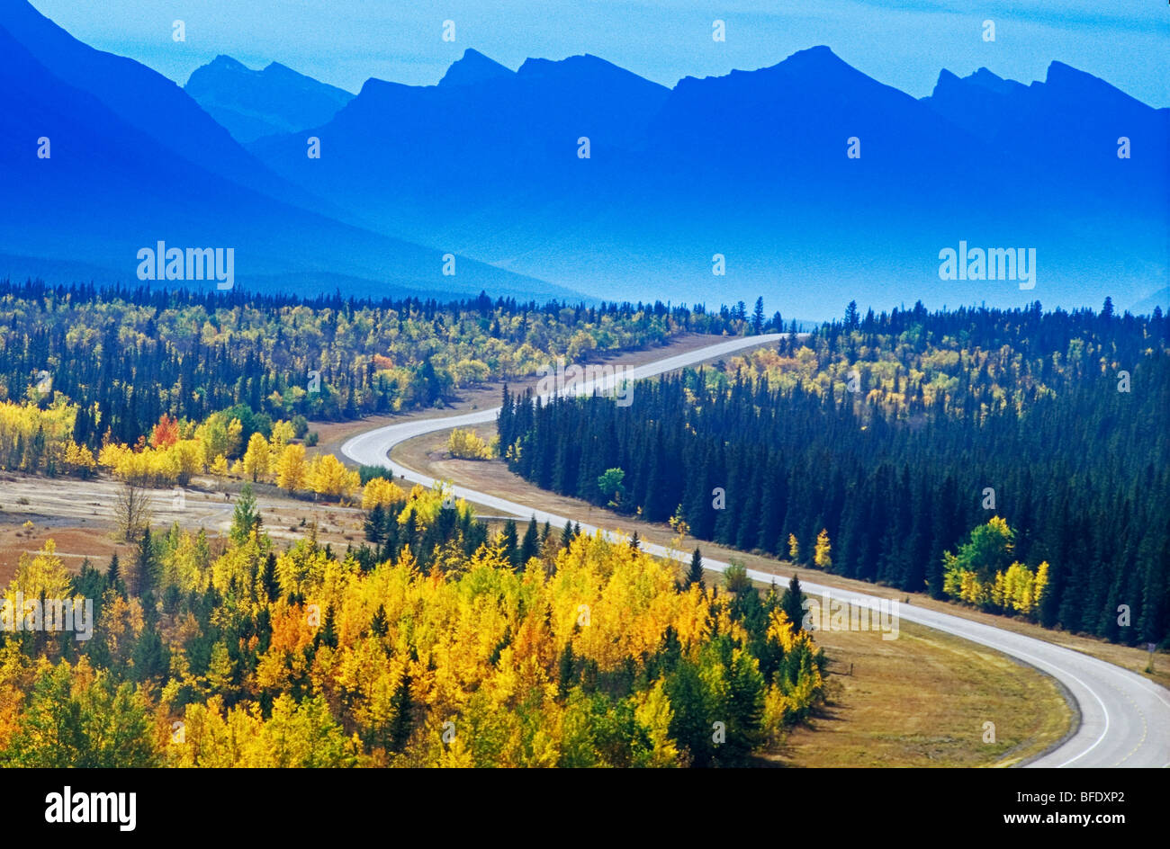 Straße durch die kanadischen Rockies im Herbst, David Thompson Highway, Alberta, Kanada Stockfoto