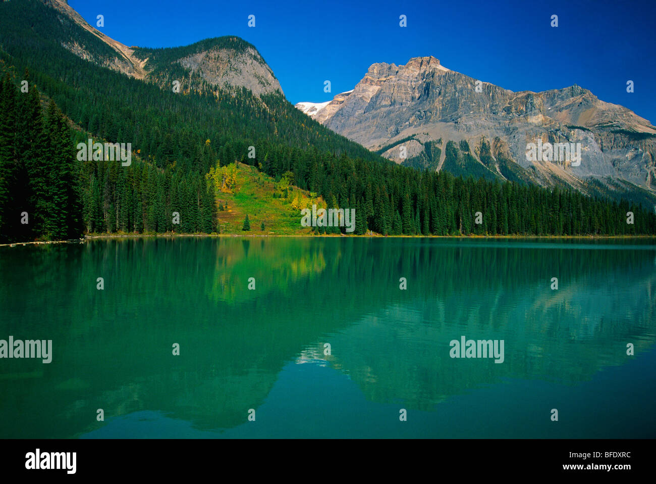 Emerald Lake und Michael Peak, Yoho Nationalpark, Britisch-Kolumbien, Kanada Stockfoto