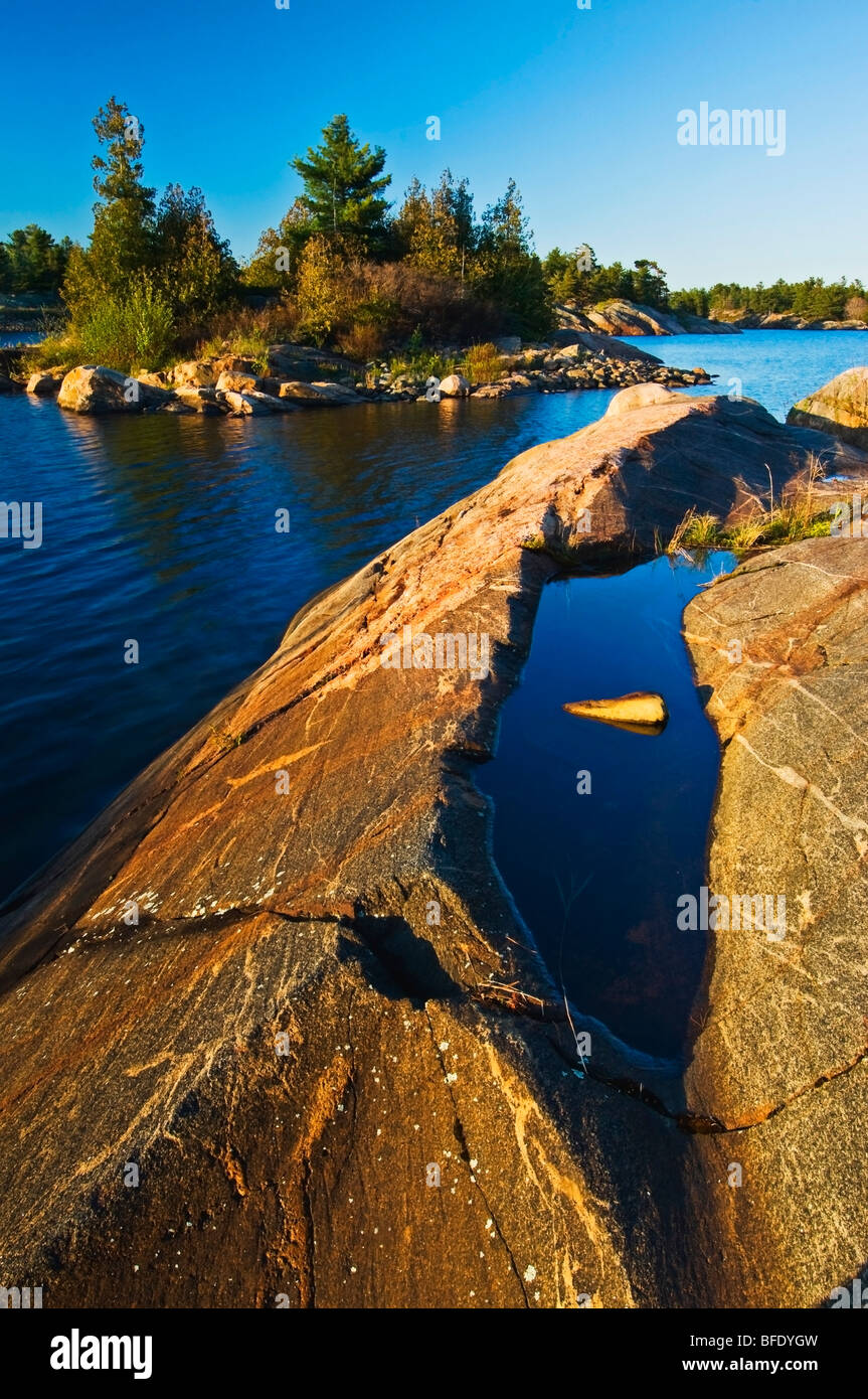 Pre-Kambrium Schild Rock am Hindernis Insel, Französisch River Provincial Park, Ontario, Kanada Stockfoto