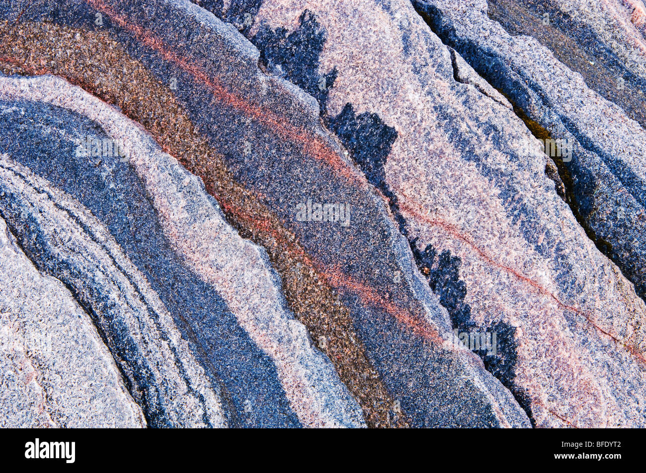 Abstrakte Muster Detail des Felsens, Killbear Provincial Park, Ontario, Kanada Stockfoto