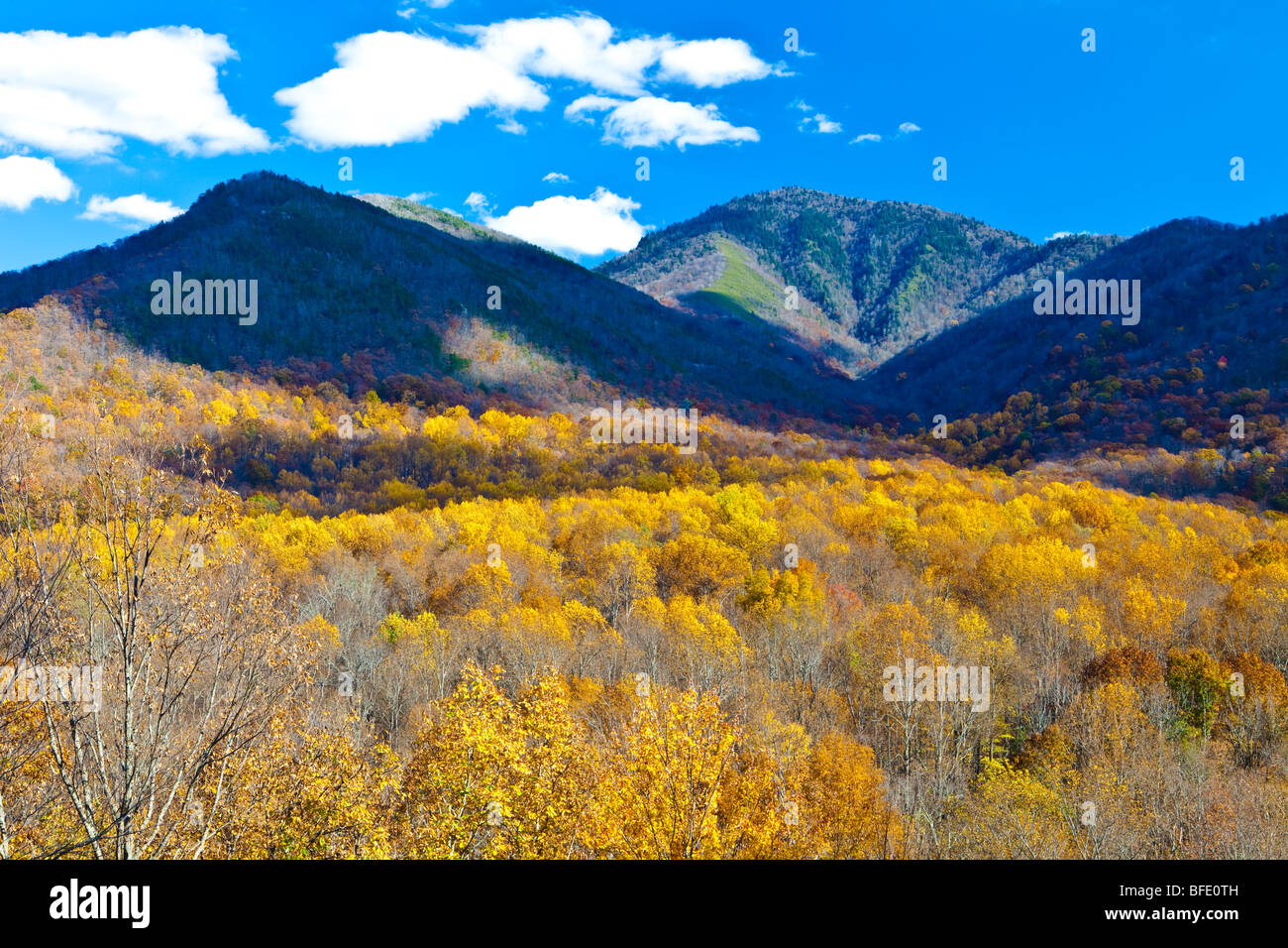 Blick vom Newfound Gap Road, Great Smoky Mountains National Park, Tennessee Stockfoto