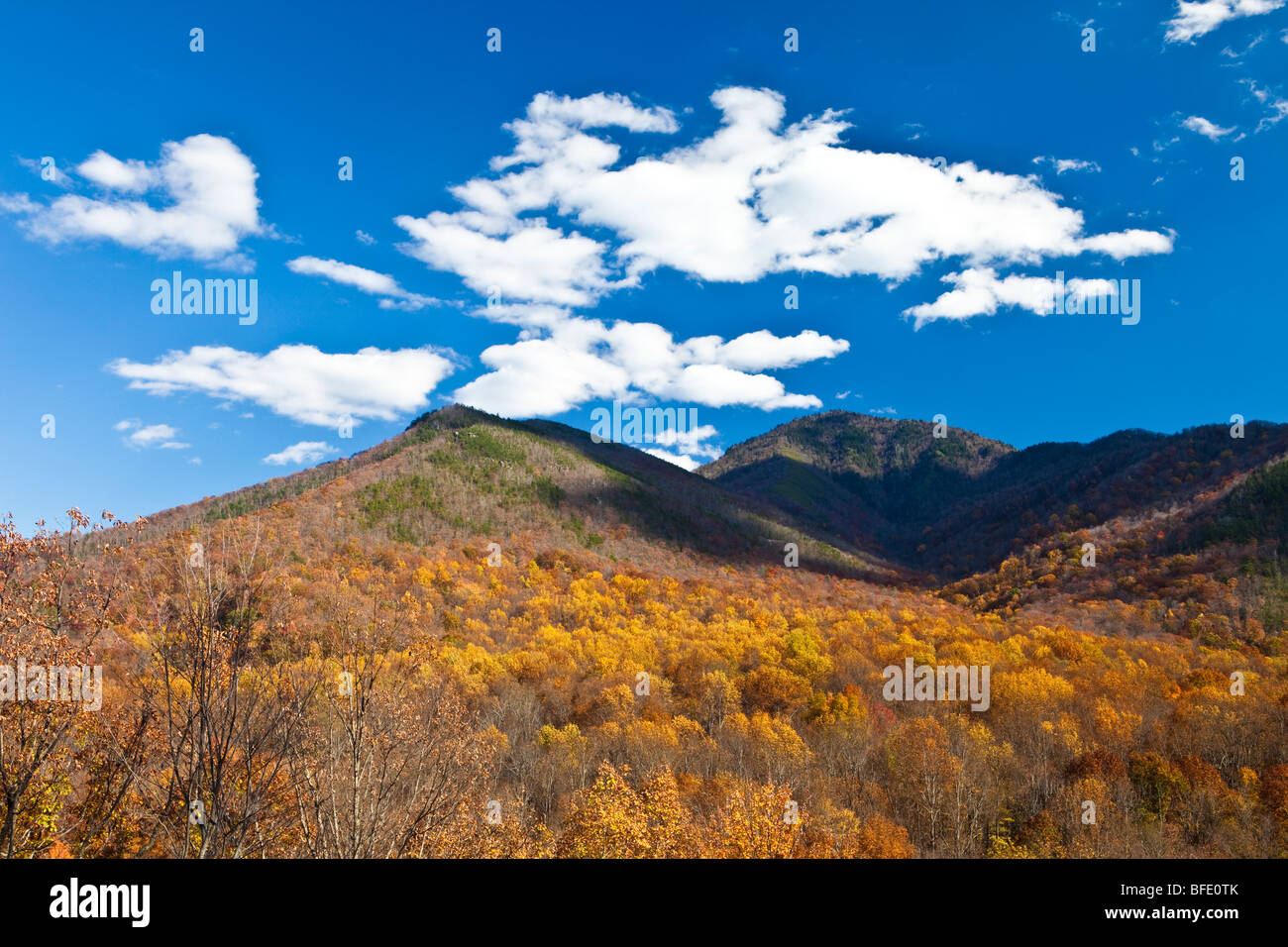 Berge und Wolken, Blick vom Newfound Gap Road, Great Smoky Mountains National Park, Tennessee Stockfoto