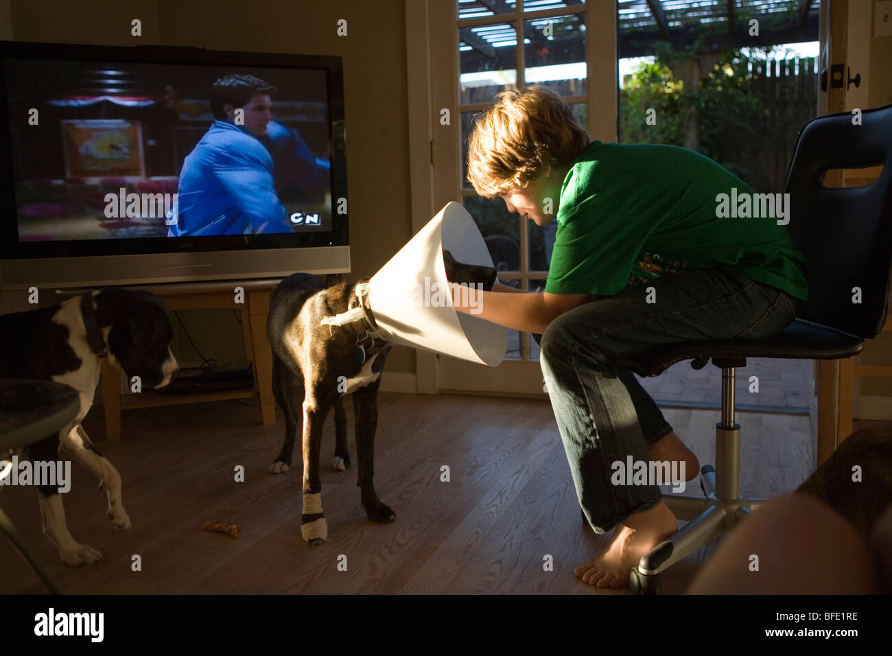 zehn Jahre alter Junge Haustiere sein Hund, einen Kegel über den Kopf und zu Hause im Wohnzimmer trägt Stockfoto