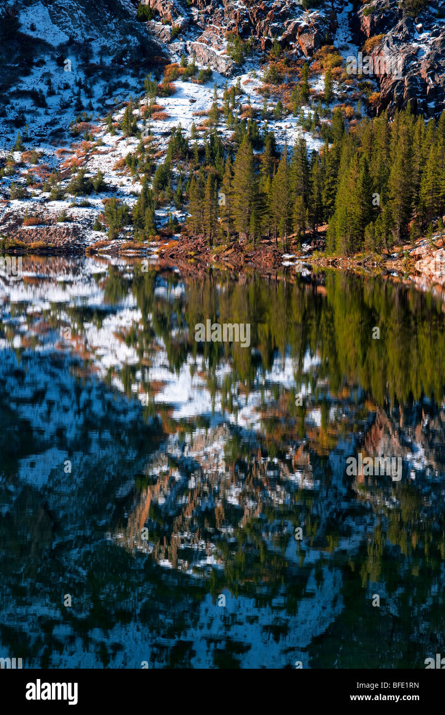 Morgen im Herbst Reflexion der Schneefall am Ellery Lake, Kalifornien. Stockfoto