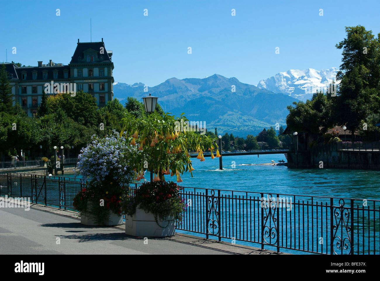 Riverside Avenue in der Stadt Thun, Schweiz Alpen-Europa Stockfoto