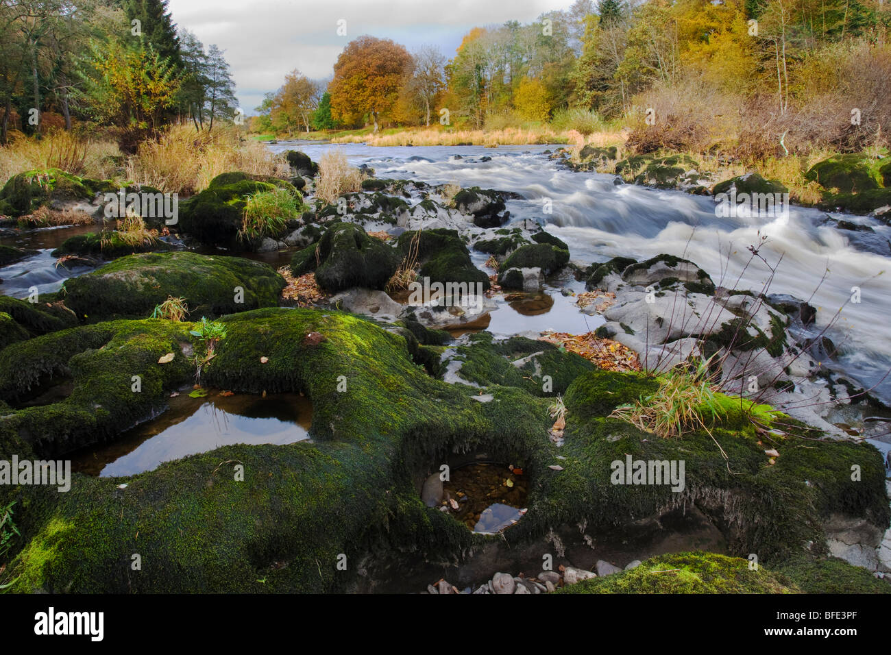 Bäume neben Fluss zeigt Farbe Herbstfärbung Stockfoto