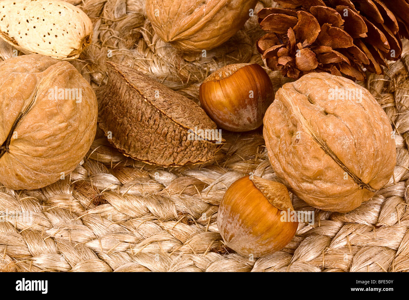 Herbstliche Stillleben mit Nüssen und Eicheln. Stockfoto