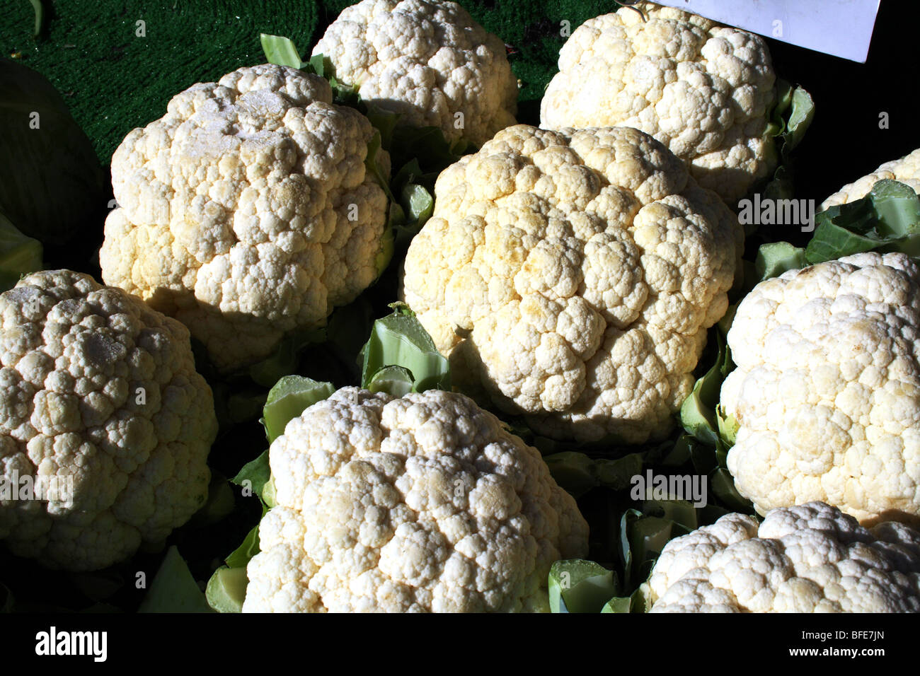 Blumenkohl Brassica Oleracea Familie Brassicaceae Nutitious Gemüse Stockfoto