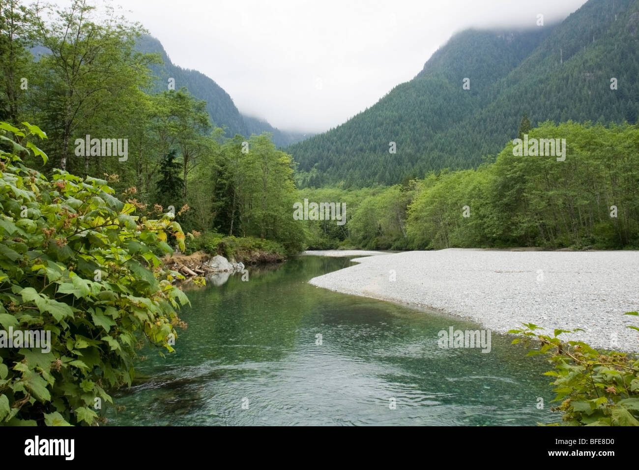 Creek und Berge im Golden Ears Provincial Park in Maple Ridge, British Columbia, Kanada Stockfoto