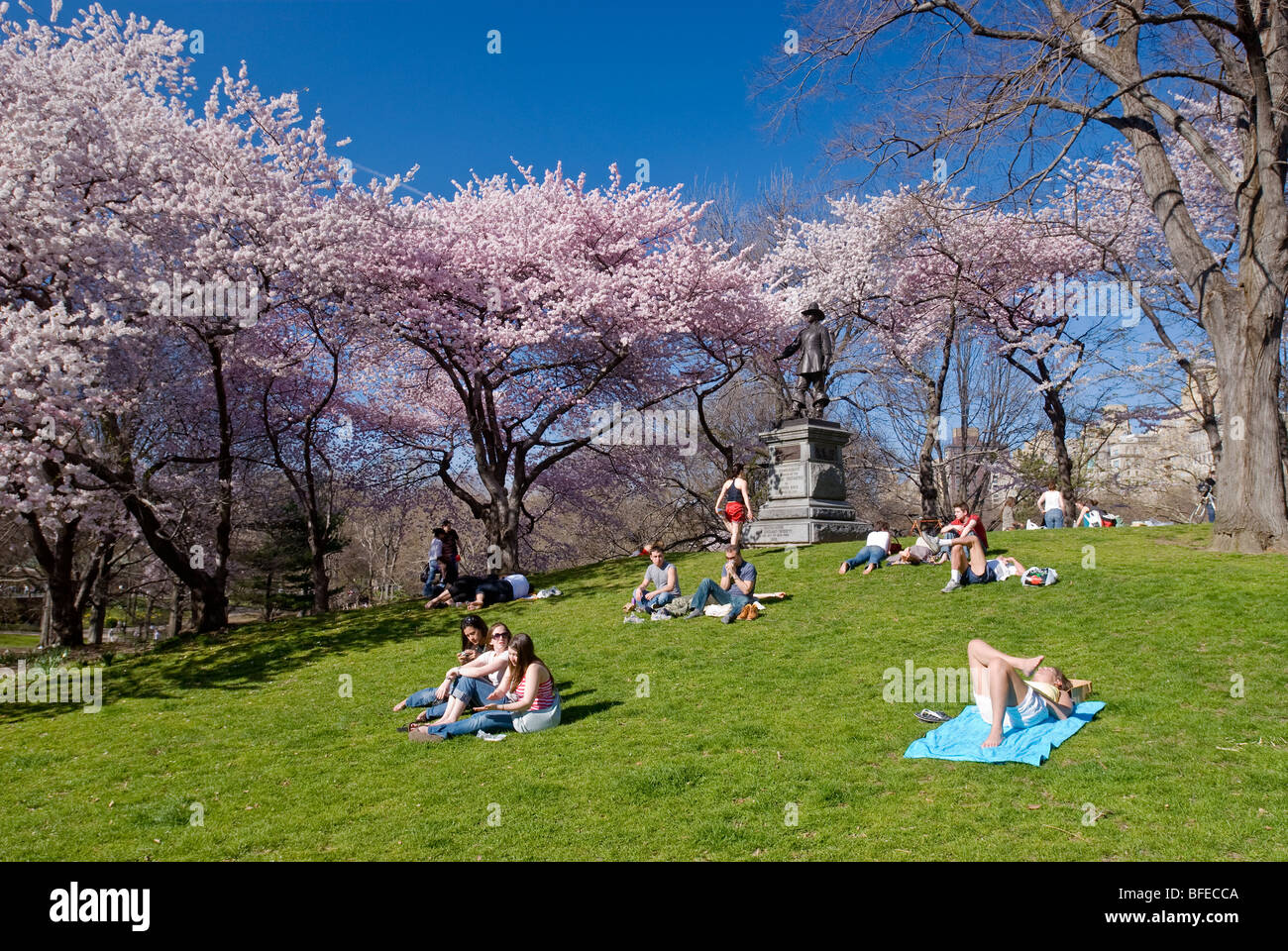 Menschen entspannen Sie sich auf Pilgrim Hill im Frühling im Central Park in New York City. Stockfoto