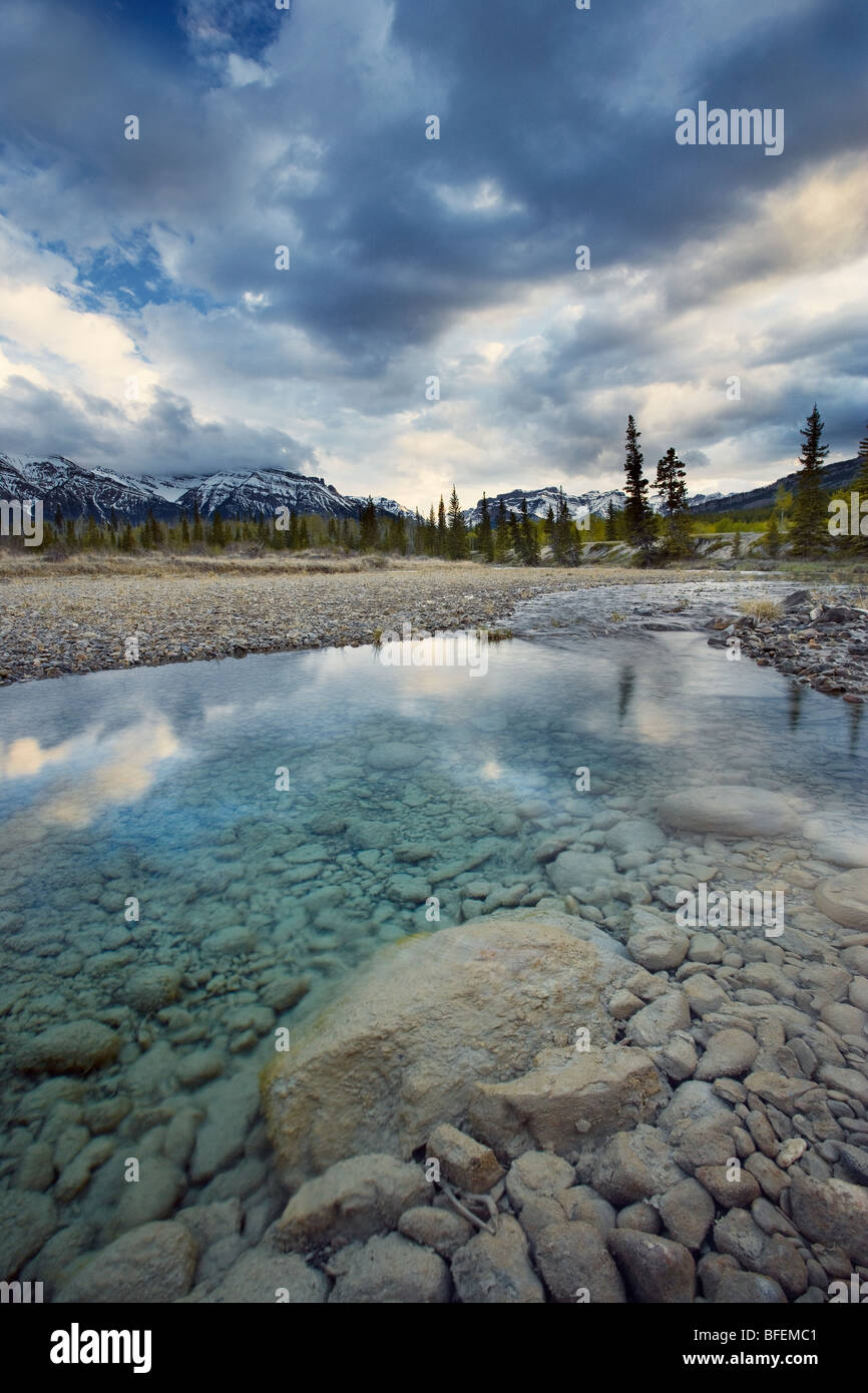 Der North Saskatchewan River in den Kootenay-Ebenen im Frühjahr, Bighorn Wildland, Alberta, Kanada Stockfoto