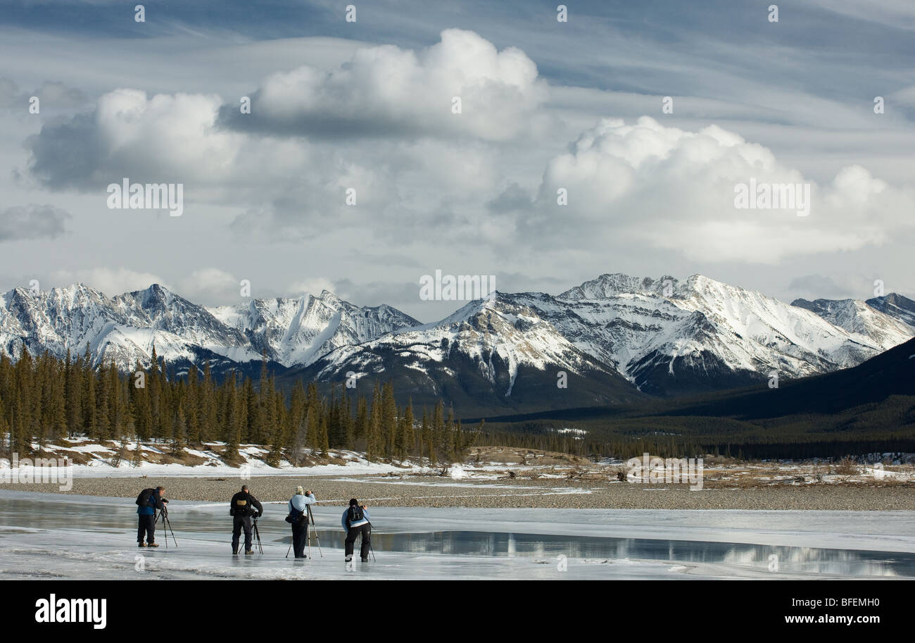 Fotografen, die entlang des North Saskatchewan River in den Kootenay Plains, Alberta, Kanada Stockfoto