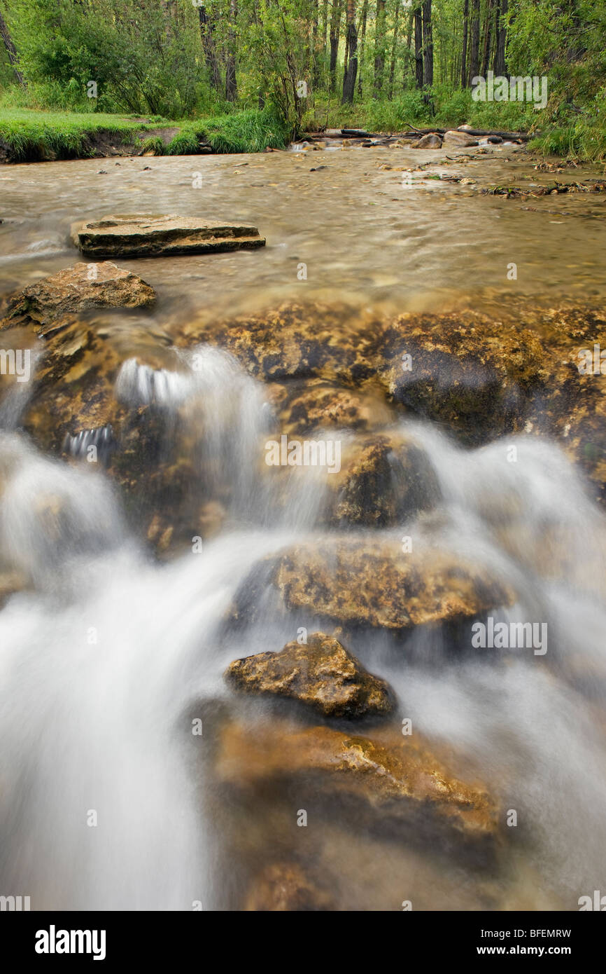 Großer Hügel Springs Provincial Park, Cochrane, Alberta, Kanada Stockfoto