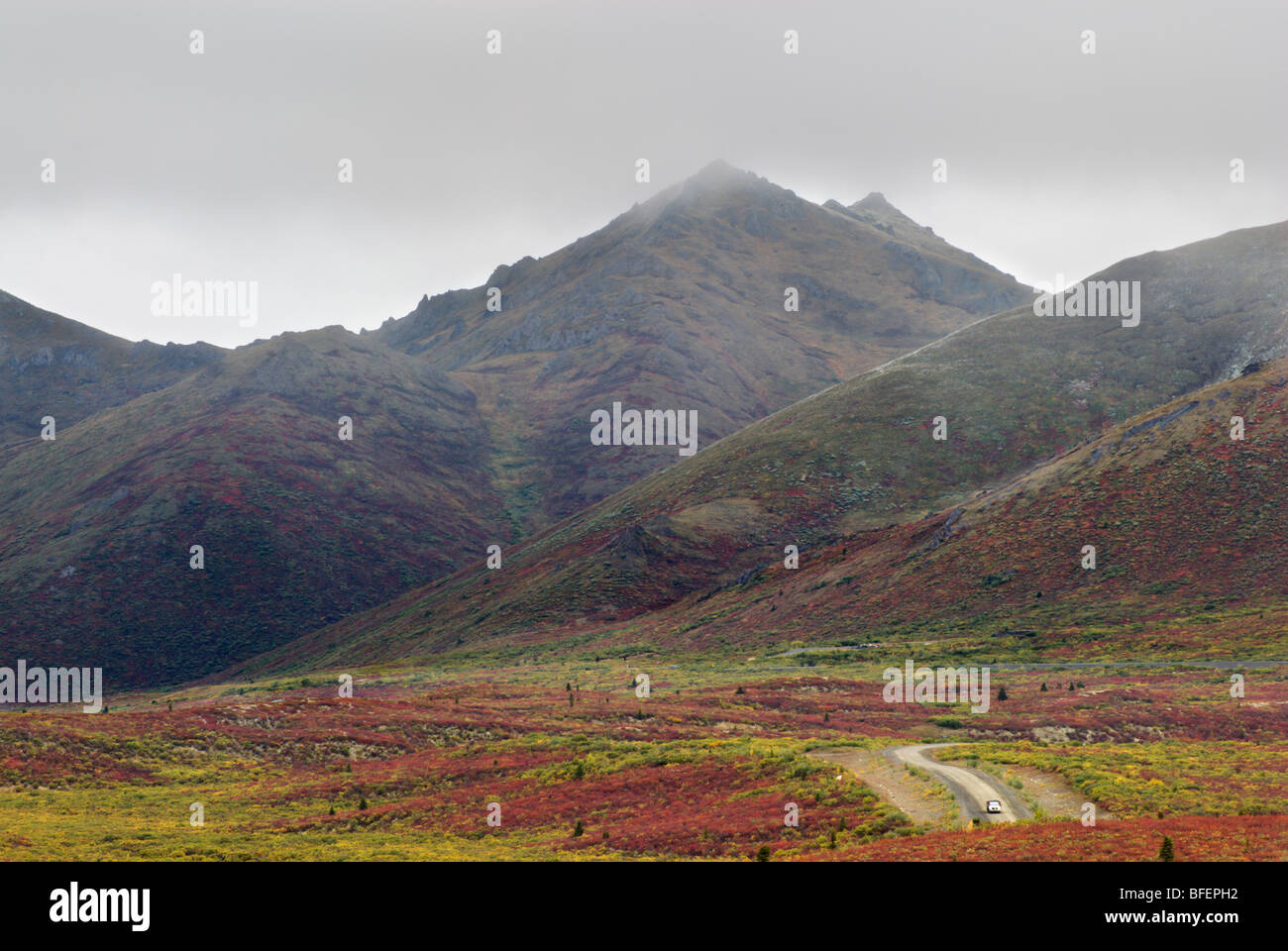 Dempster Highway, Tombstone Territorial Park, Yukon Territorium, Kanada Stockfoto