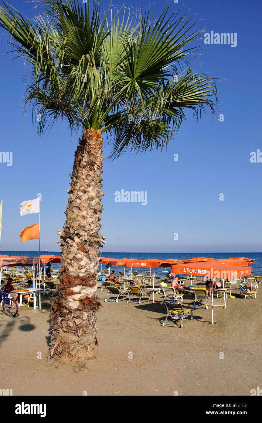 Blick auf den Strand, Larnaka, Bezirk Larnaka, Republik Zypern Stockfoto