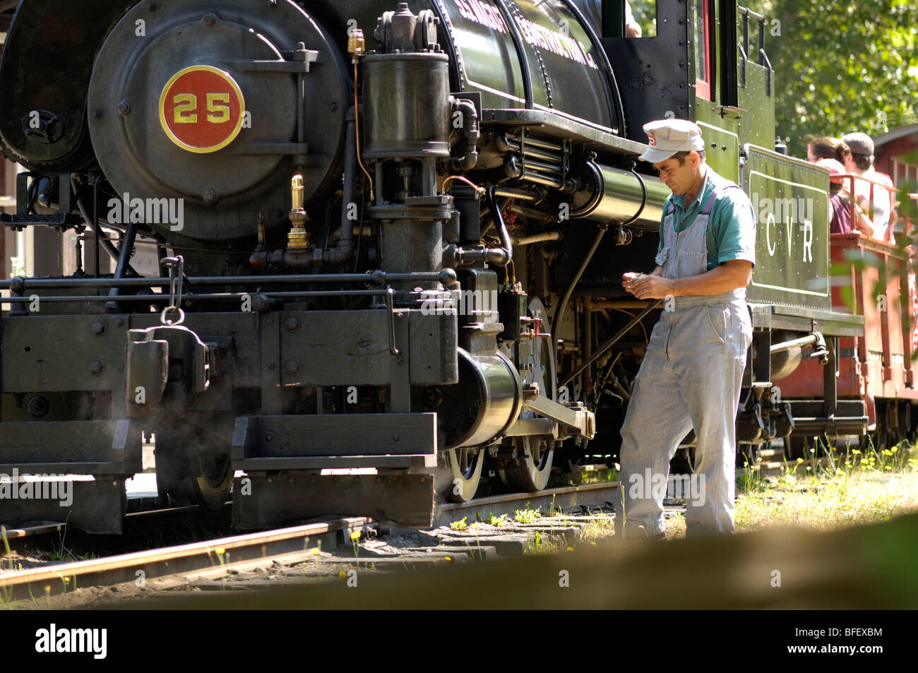 Dampfzug im BC Wald Discovery Centre, Duncan, Cowichan Valley, Vancouver Island, British Columbia, Kanada. Stockfoto
