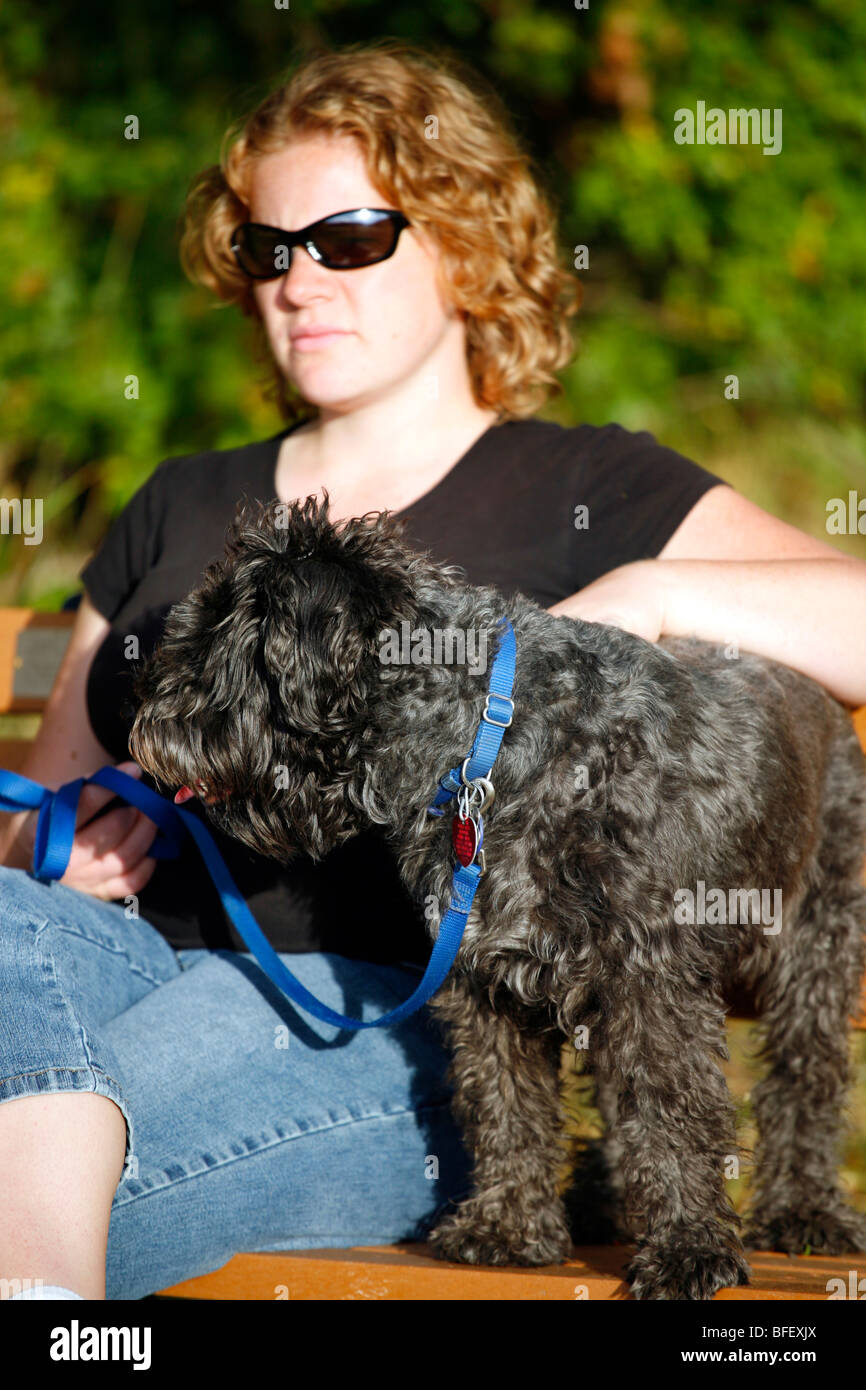 Schnauzer Mix Hund und Frau sind bei einem Außenbank im warmen Licht der Nachmittagssonne. Stockfoto