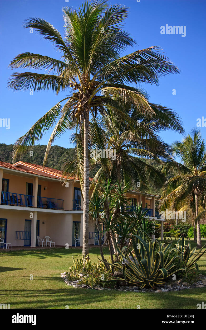 Karibik Resort Gebäude, Palmen und Agaven an der Spitze Stockfoto
