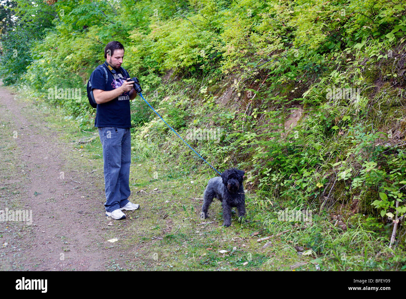 Fotograf in den Wald mit seinem Hund spazieren. Stockfoto