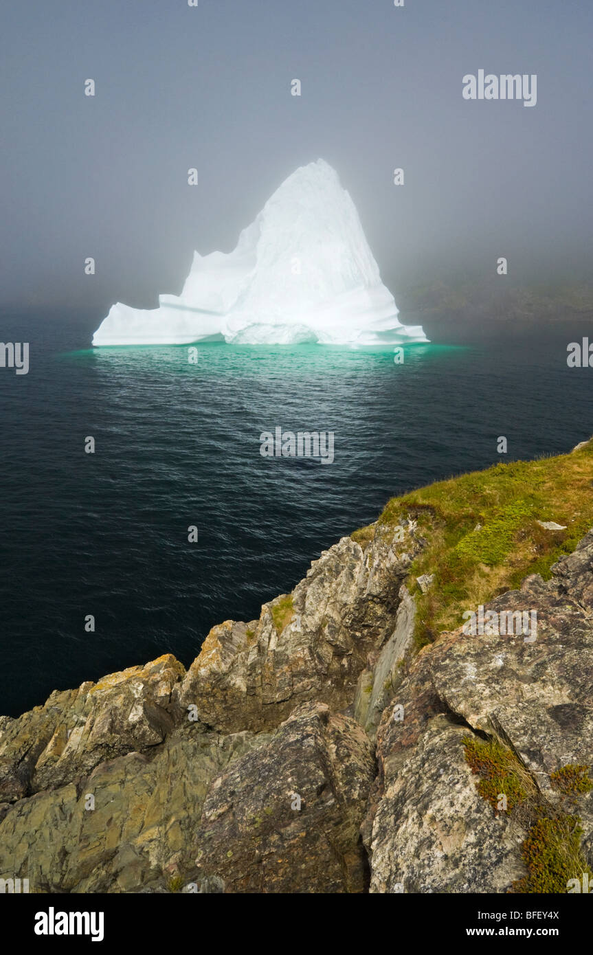 Eisberg bei steigender Nebel schwebt in Trinity Bay vor felsigen Küste Bonavista Halbinsel von östlichen Neufundland-Neufundland und Labr Stockfoto