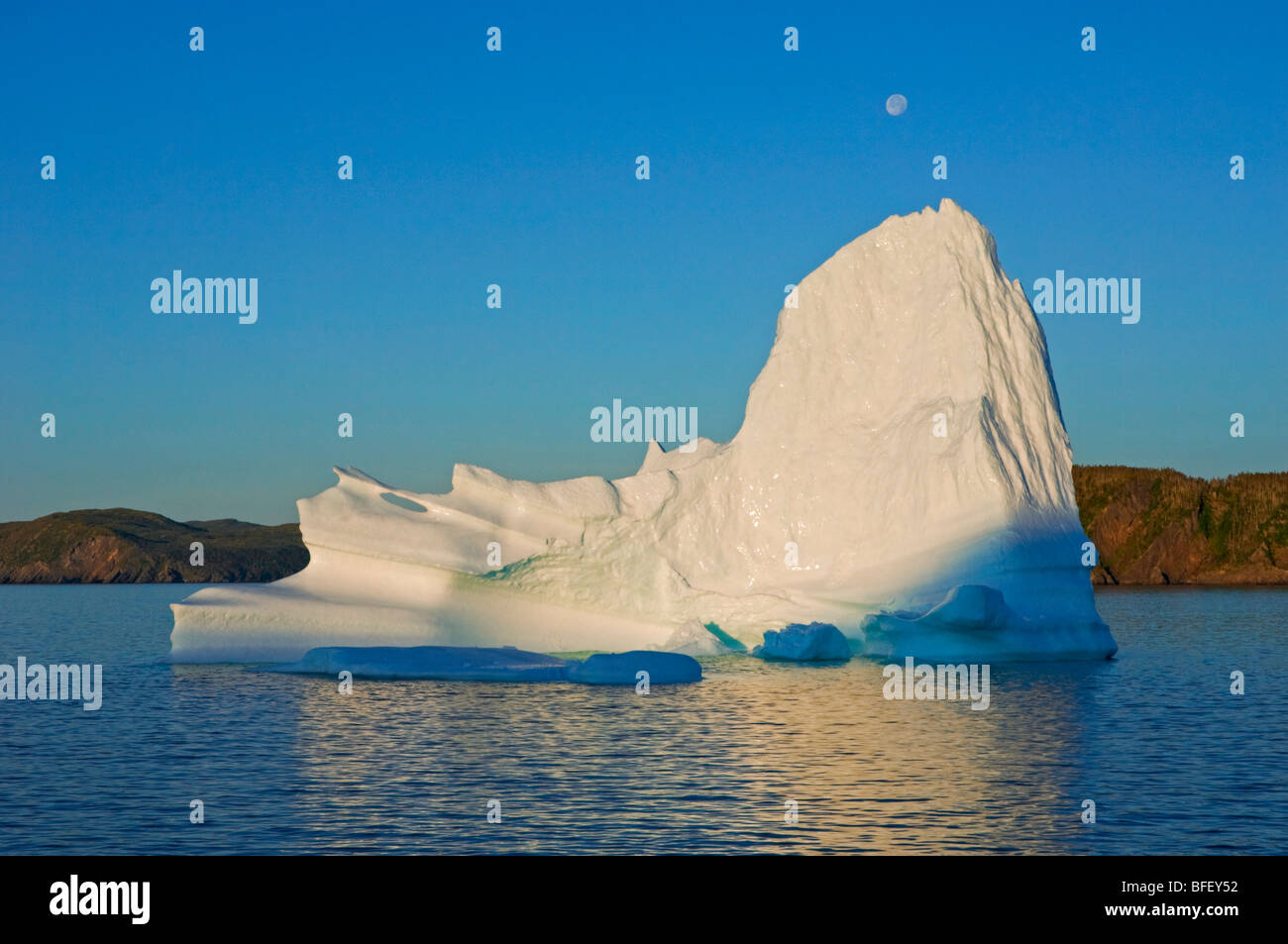 Eisberg im Morgengrauen schwebt in Trinity Bay vor der Bonavista Halbinsel des östlichen Neufundland, Neufundland und Labrador, Kanada. Stockfoto