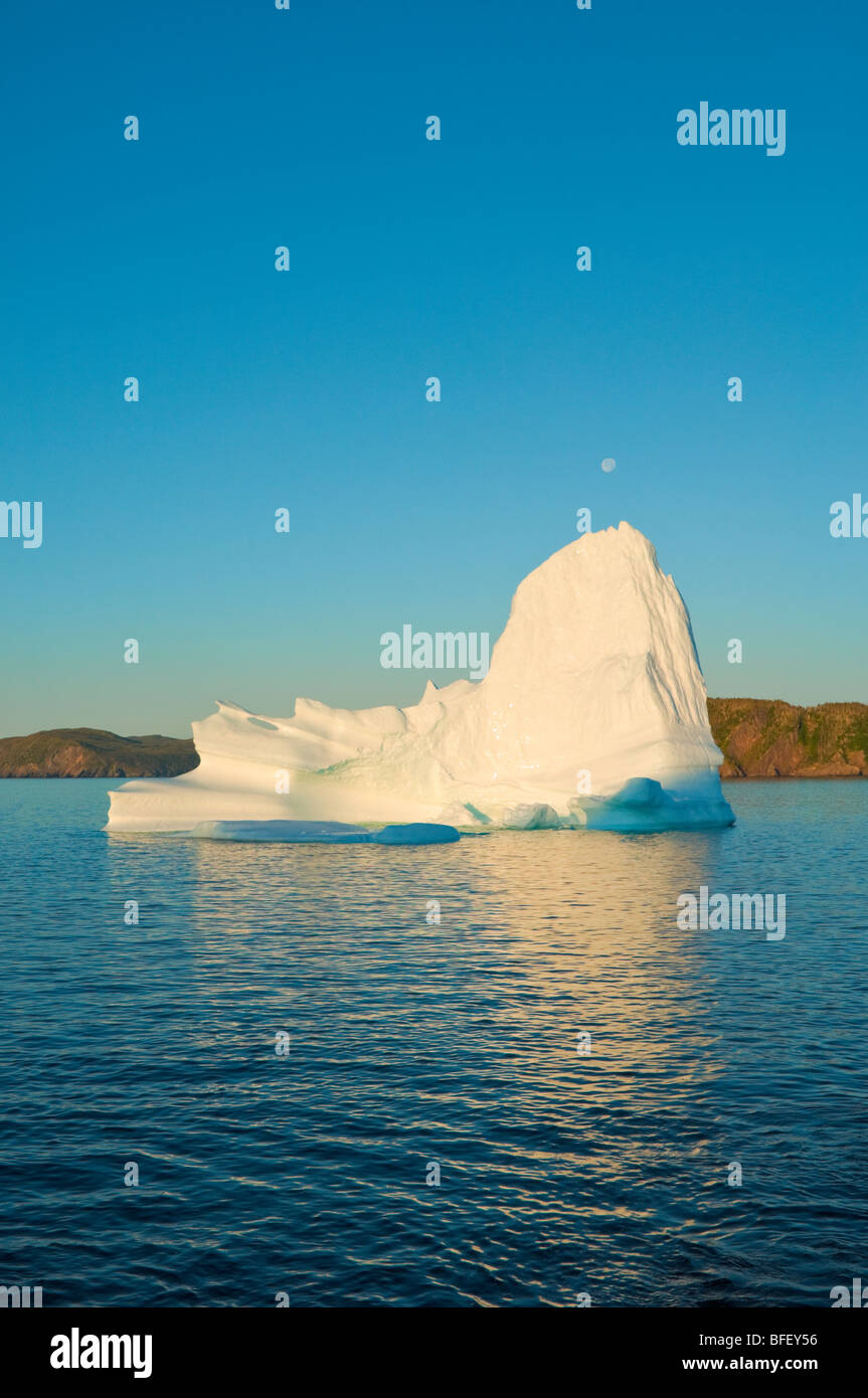 Eisberg im Morgengrauen schwebt in Trinity Bay vor der Bonavista Halbinsel des östlichen Neufundland, Neufundland und Labrador, Kanada. Stockfoto
