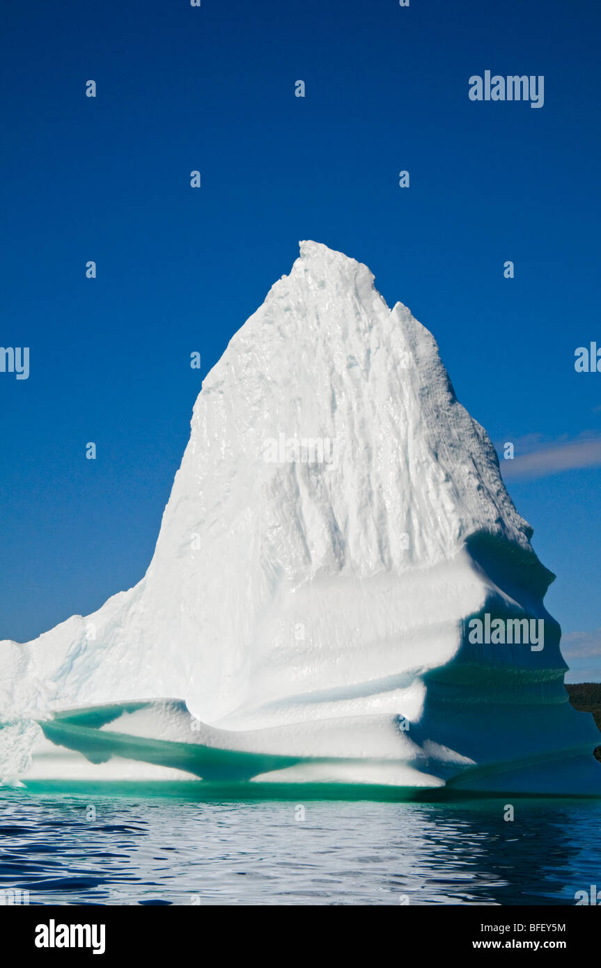 Eisberg schwimmt in Trinity Bay vor der Bonavista Halbinsel des östlichen Neufundland, Neufundland und Labrador, Kanada. Stockfoto