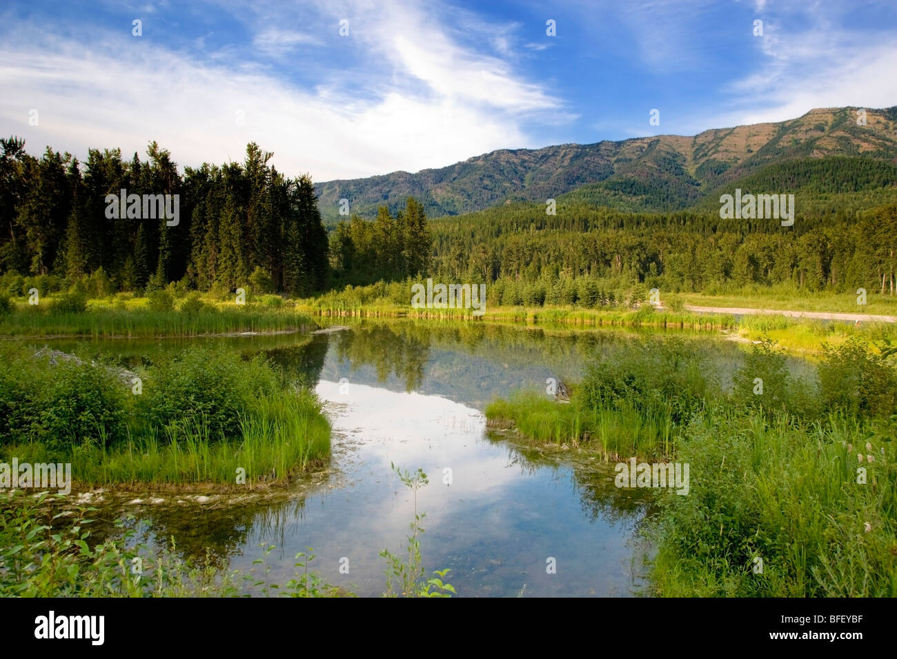 Elk River, Fernie, Britisch-Kolumbien, Kanada Stockfoto