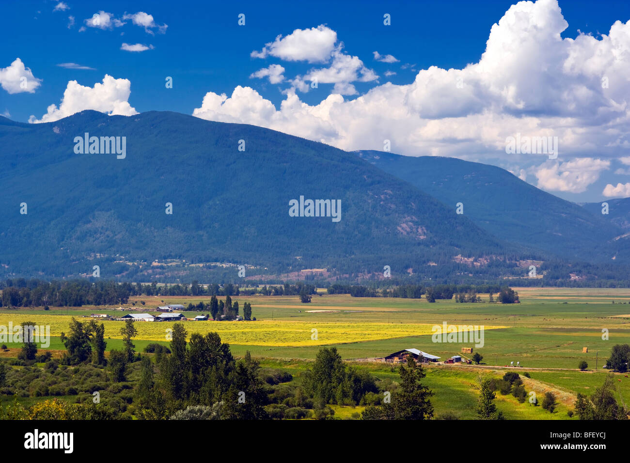 Bauernhöfe in der fruchtbaren Creston Valley, British Columbia, Kanada, Landwirtschaft Stockfoto