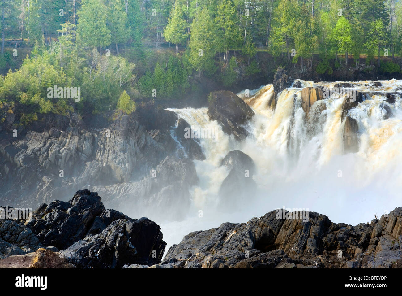 Grand Falls Gorge, New Brunswick, Kanada, Wasserfall, Frühling Stockfoto