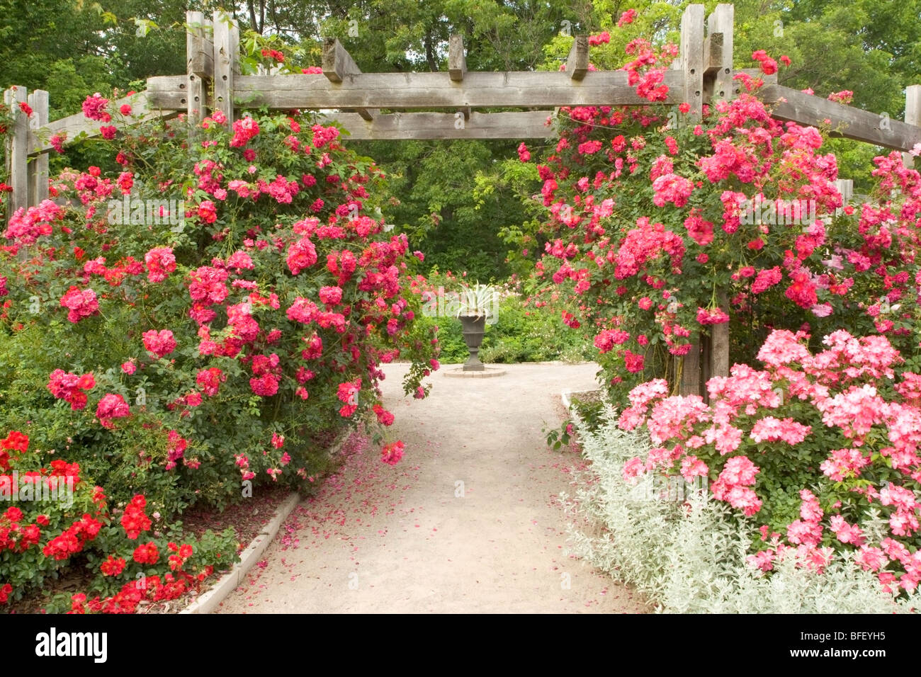 Royal Botanic Gardens in Hamilton, Ontario, On, Kanada, Garten Stockfoto