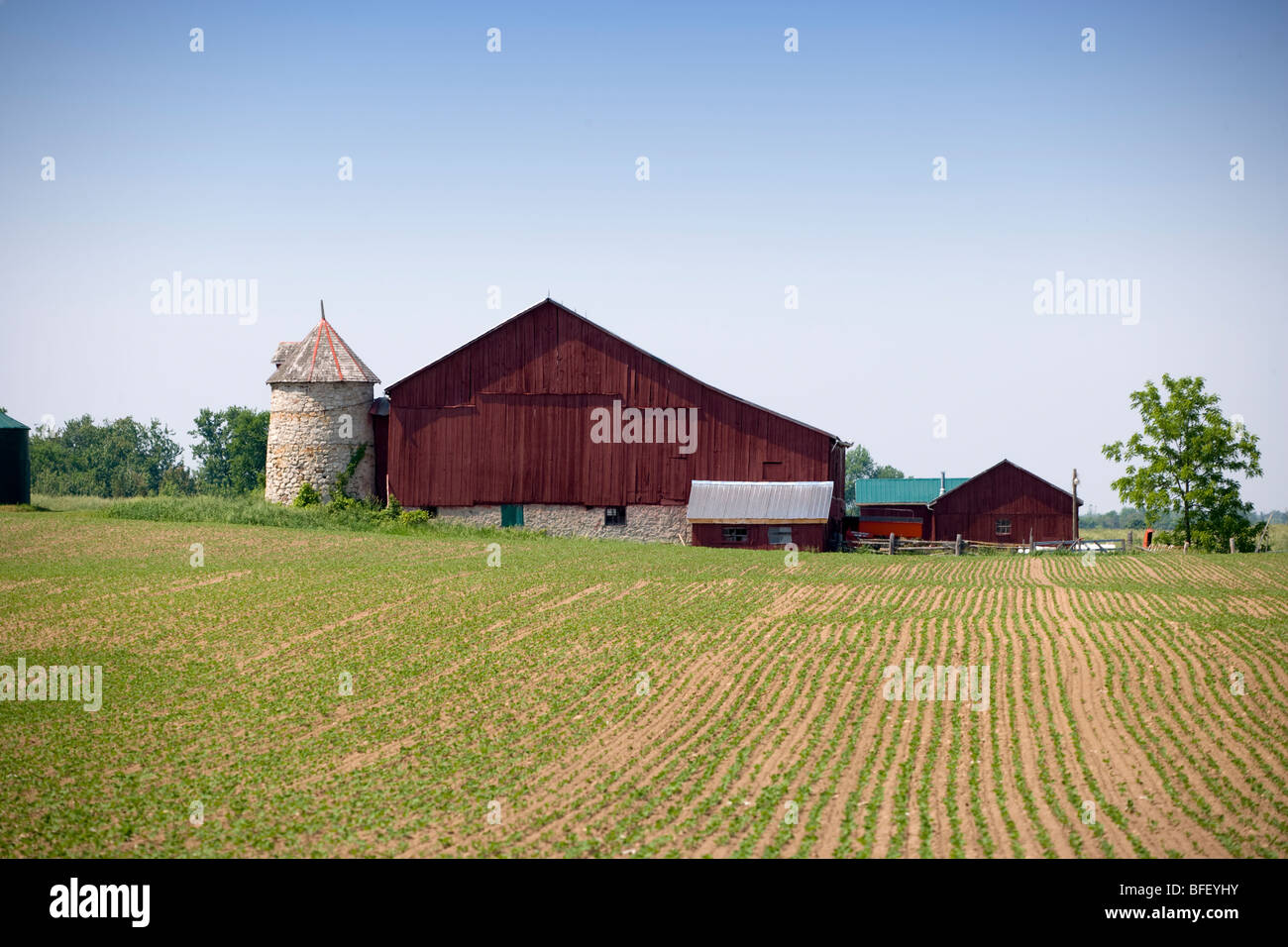 Scheune, North Humpfries, Ontario, Kanada Stockfoto