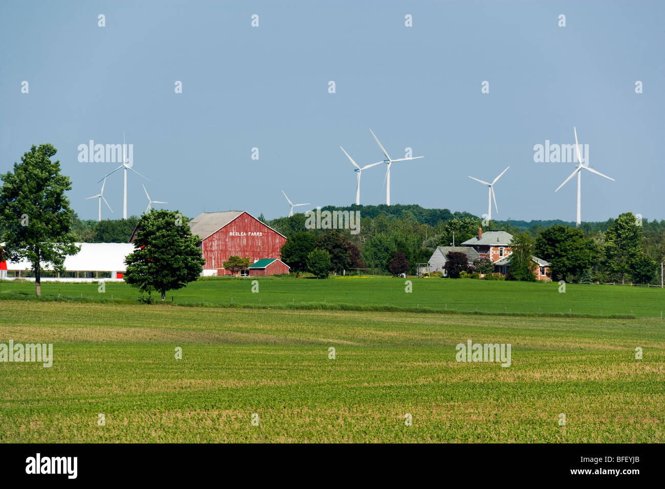 Bauernhof und Windturbinen, Shellburne, Ontario, Kanada, Windenergie, Alternative Energie Stockfoto