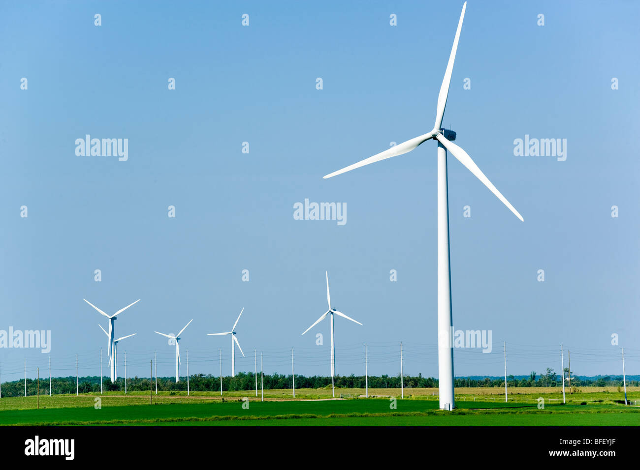 Wind-Turbinen, Shellburne, Ontario, Kanada, Windenergie, Alternative Energie Stockfoto