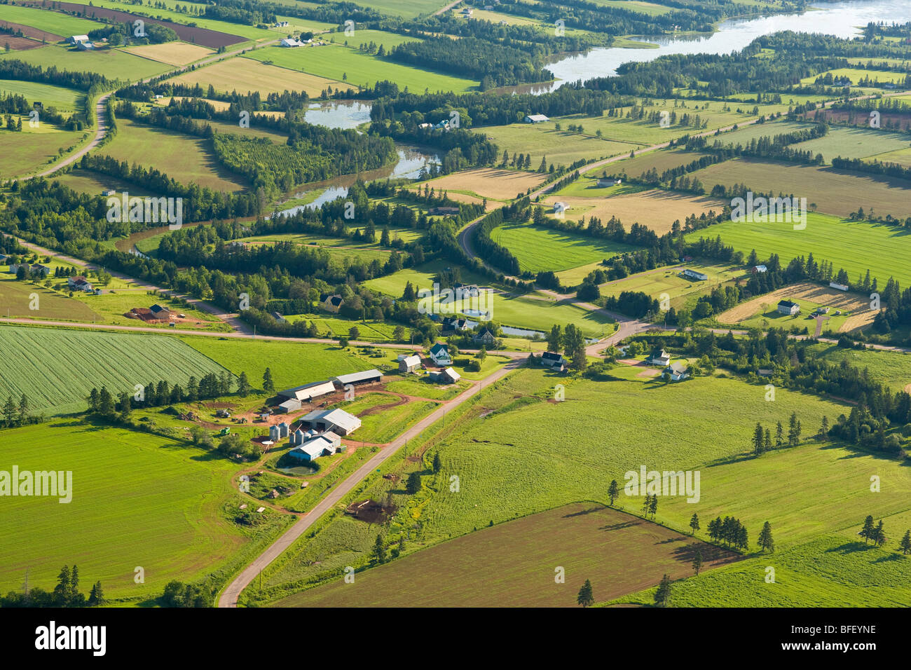Luftbild der Farm, Wheatley River, Prince-Edward-Insel, Kanada Stockfoto