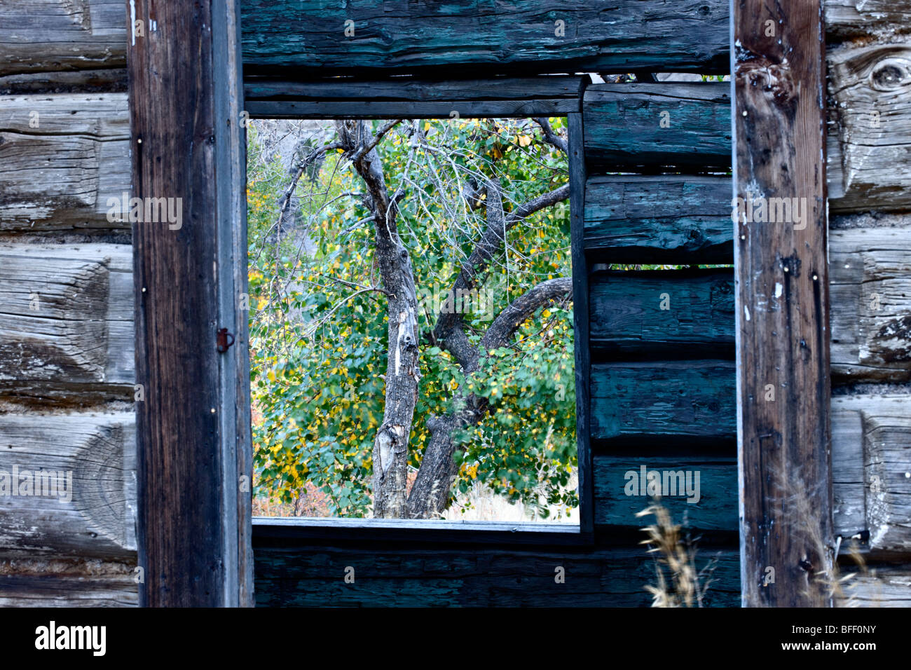 Verlassene Ranch Blockhaus am Farwell Canyon British Columbia Kanada Stockfoto