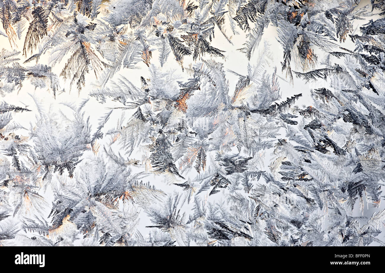 Eisblumen bei Sonnenaufgang Stockfoto