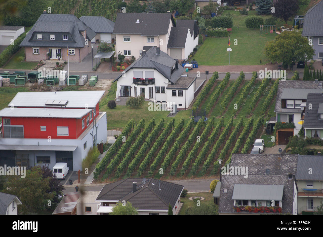 Weinberg in einem Dorf Garten, Krow, Mosel River, Deutschland Stockfoto