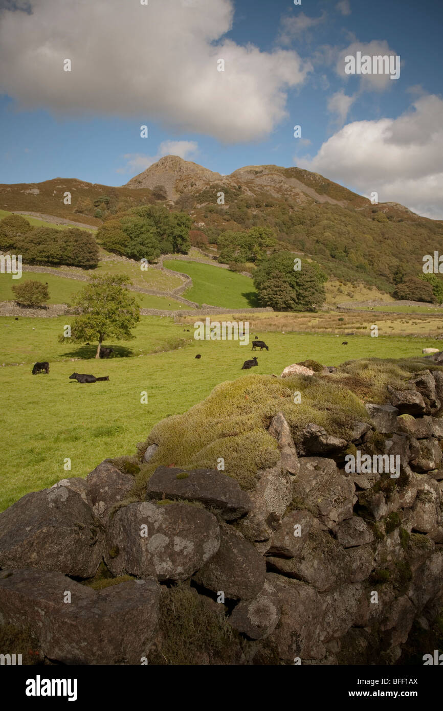 Wenig Barrow und Great Barrow fiel im Eskdale Tal des englischen Lake District mit einer traditionellen Trockenmauer Stockfoto