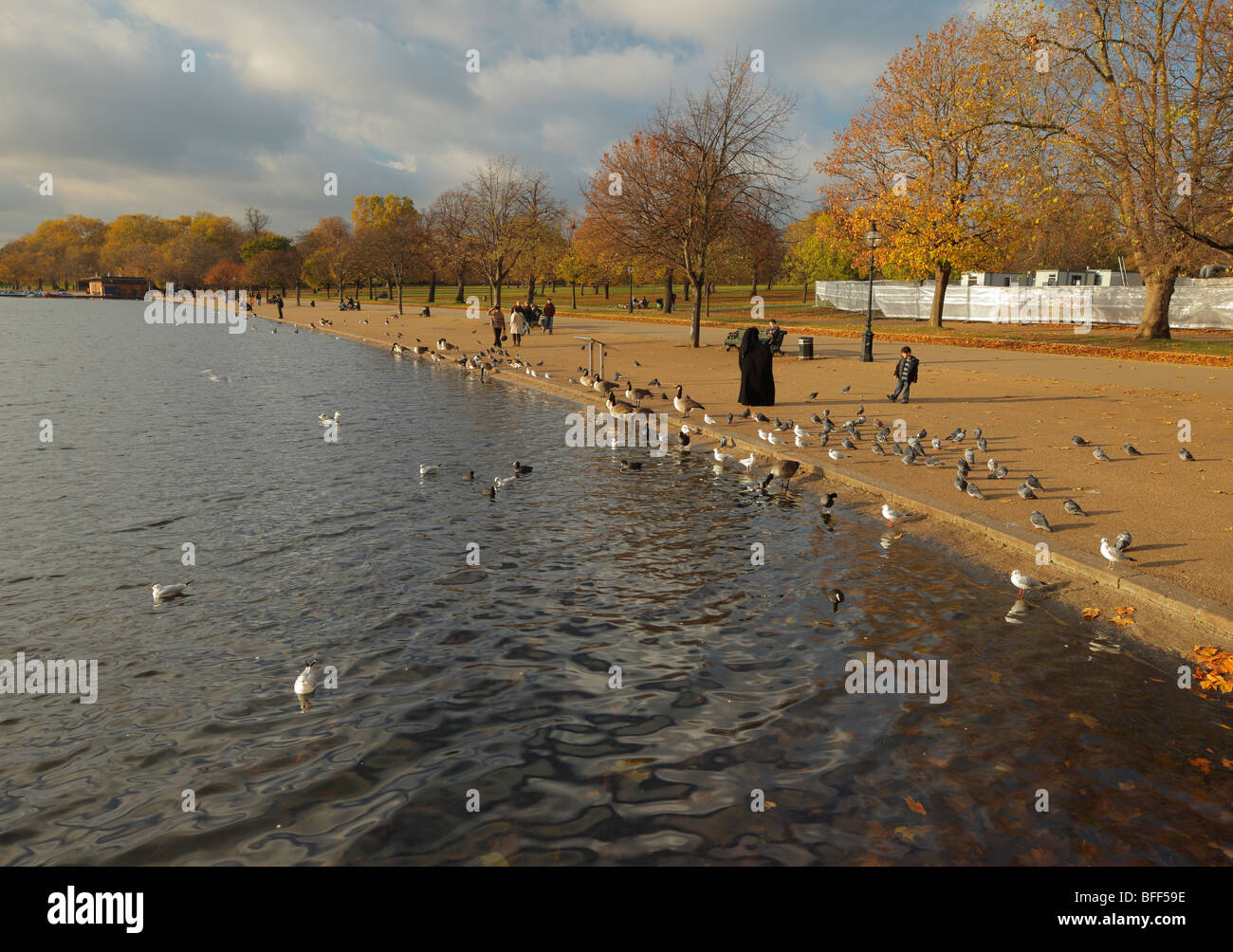 Die Serpentine. Hyde Park, London, England, UK. Stockfoto