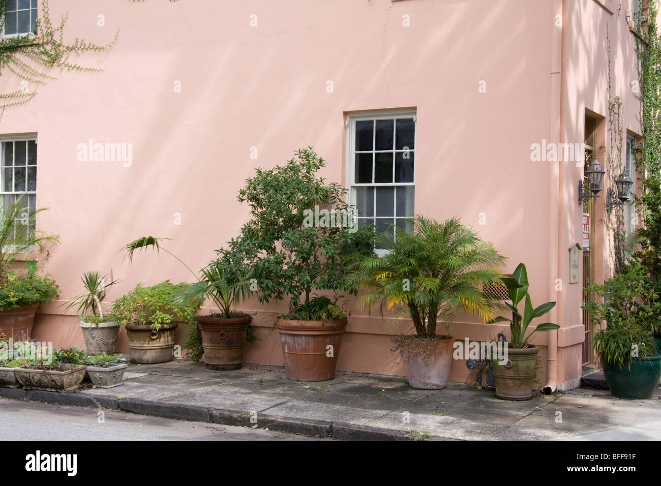 Bürgersteig Container Garten mit kleinen Palmen und tropischen Pflanzen im historischen Teil der Innenstadt von Savannah, Georgia Stockfoto