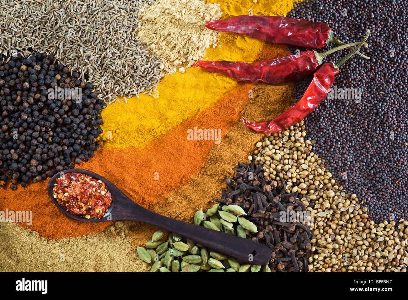 Indische Küche Gewürze Stockfoto