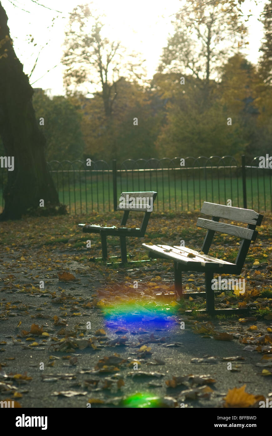 Flare-Lloyd Parkbänke im Herbst Stockfoto