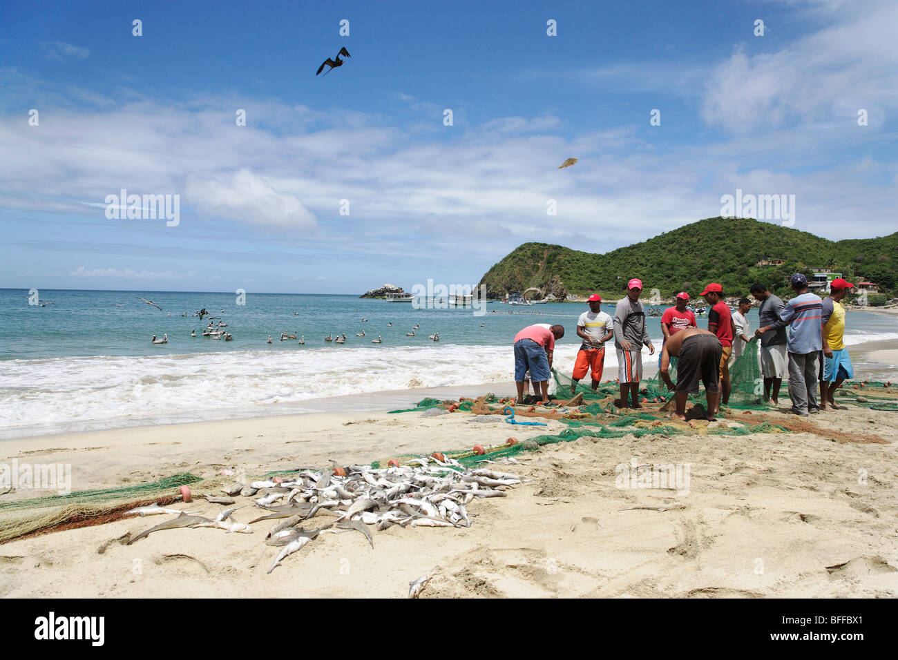 Fischer, Fische, Playa Guayacan, Isla Margarita, Venezuela Nueva Esparta sortieren Stockfoto