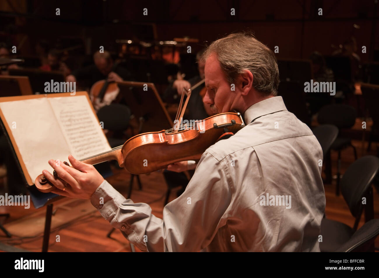 Geiger Geige Spieler Musiker Stockfoto