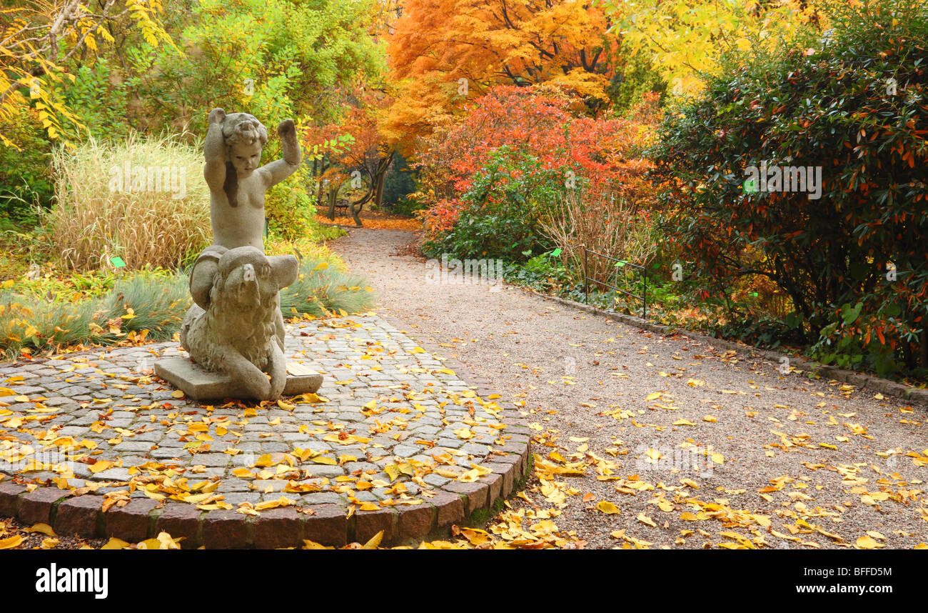 Wroclaw Farben Herbst Herbst Botanischer Garten Polen Stockfoto