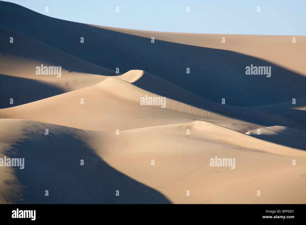 Die Dünen bei Great Sand Dunes National Park, Colorado. Stockfoto