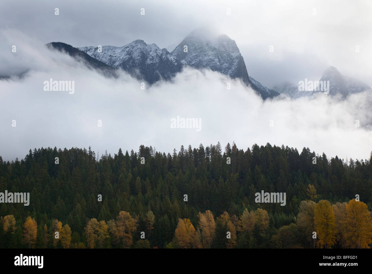 Mount Hozomeen wie aus dem Ross-Reservoir, Herbst Stockfoto