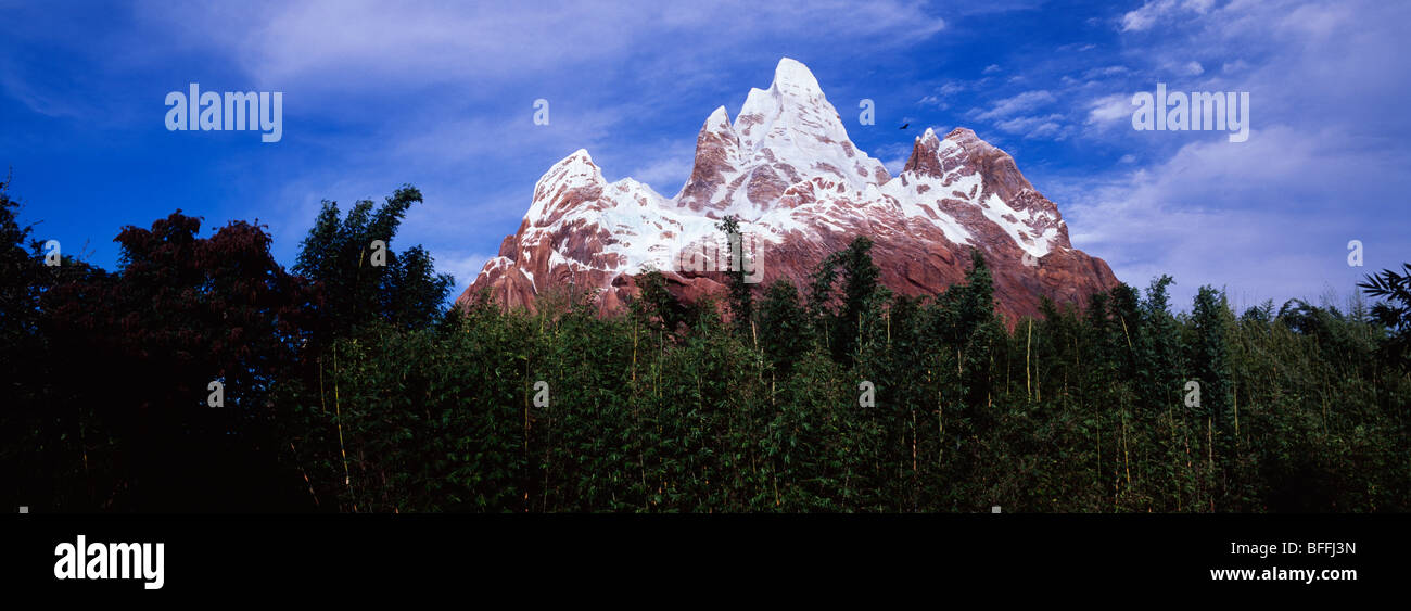 Expedition Everest, Animal Kingdom, Disneyworld, Orlando, Florida, USA Stockfoto