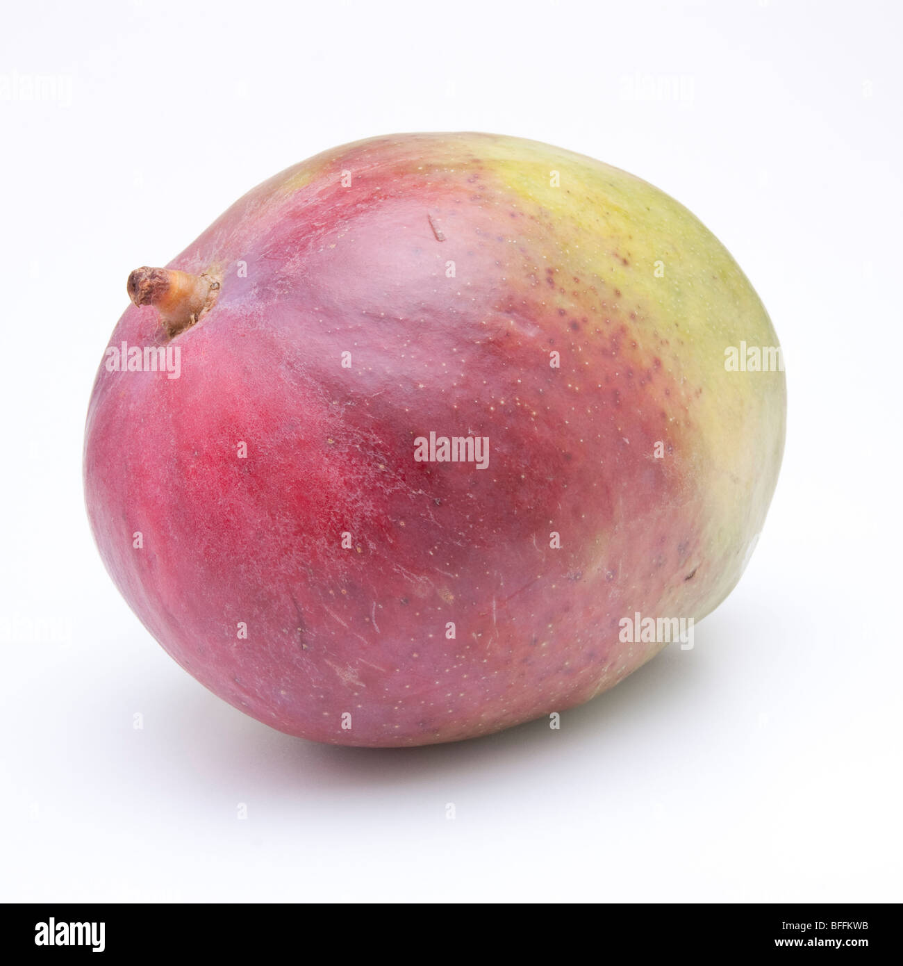 Mango-Frucht auf weißen Hintergrund isoliert. Stockfoto